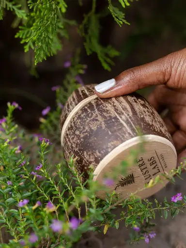 Shea Body Butter
